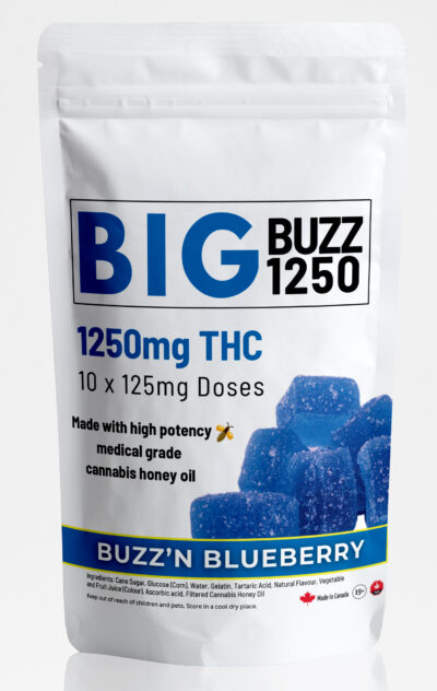 Big Buzz Blueberry Cannabis Gummies 1250mg THC